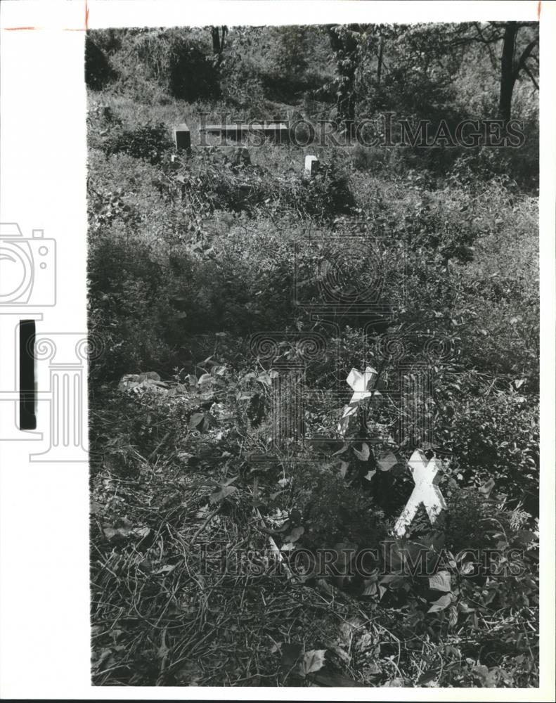 1979 Press Photo Enon Ridge Pioneer Cemetery, Birmingham, Alabama - abna27471 - Historic Images