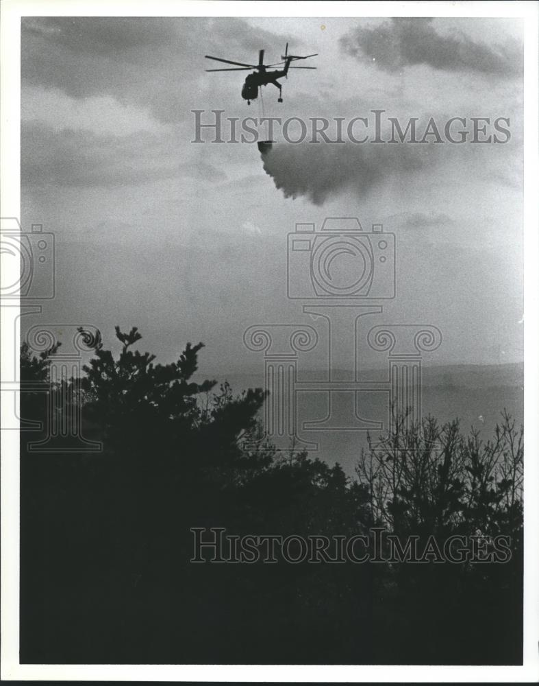 1981 Press Photo helicopter dropping water on Forrest Fire, Alabama - abna27599 - Historic Images