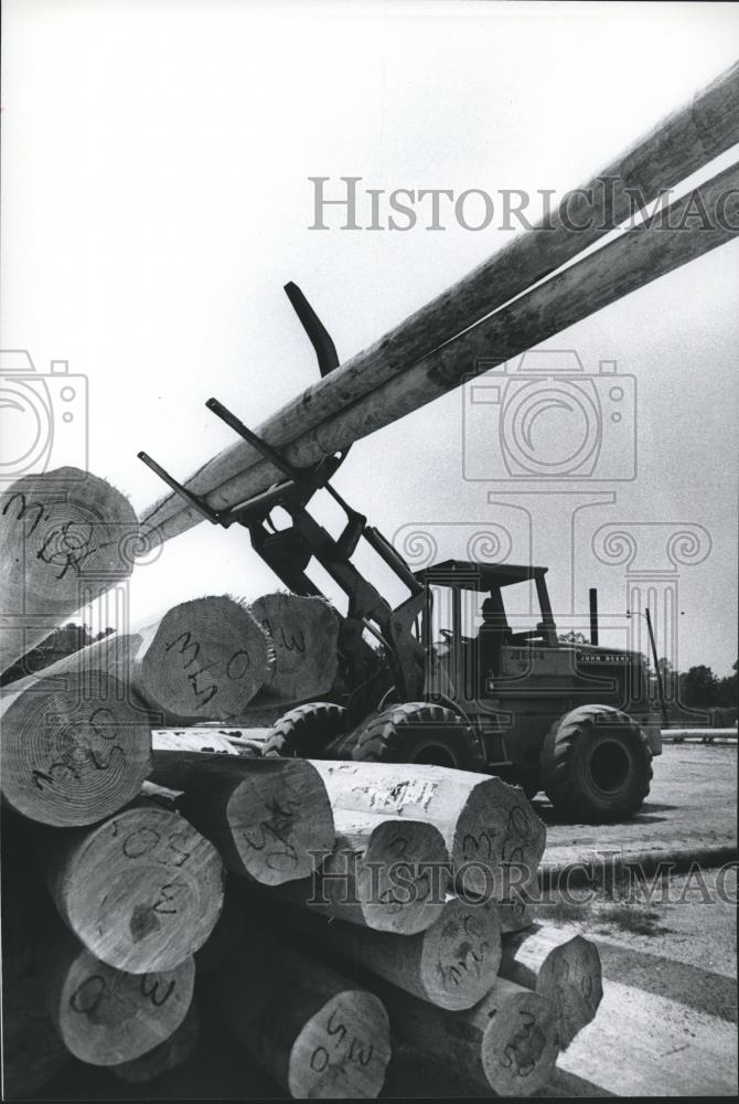 1978 Press Photo Koppwes worker stacking marked logs, Elmore County - abna27684 - Historic Images