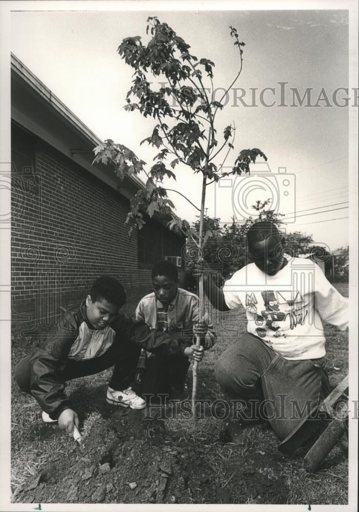1991 Press Photo Arnold Kennedy, Corey Crawford, Timothy Clark plant school tree - Historic Images