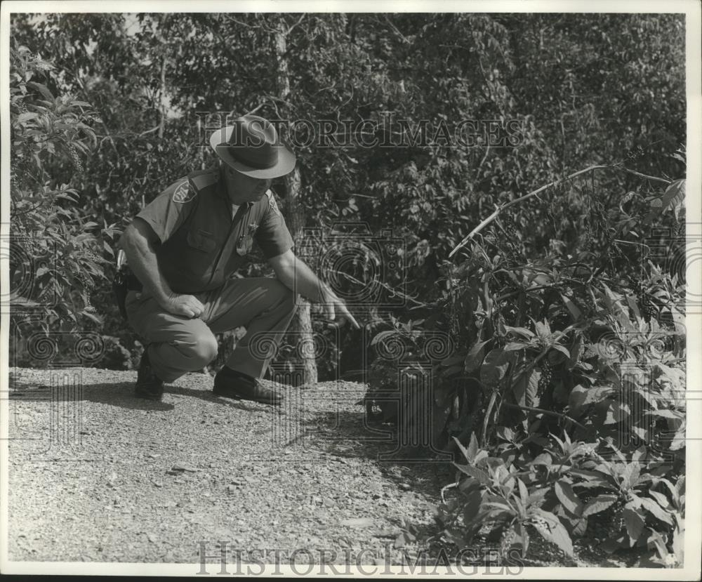 1977 Press Photo Unidentified officer inspects Richard Mark Ellard crime scene - Historic Images