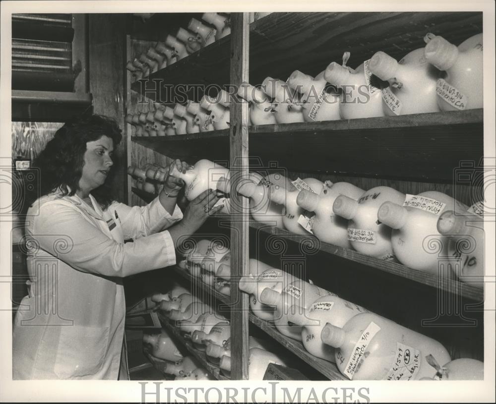 1986 Press Photo Technician Susan Baker checks milk samples at radiation lab - Historic Images