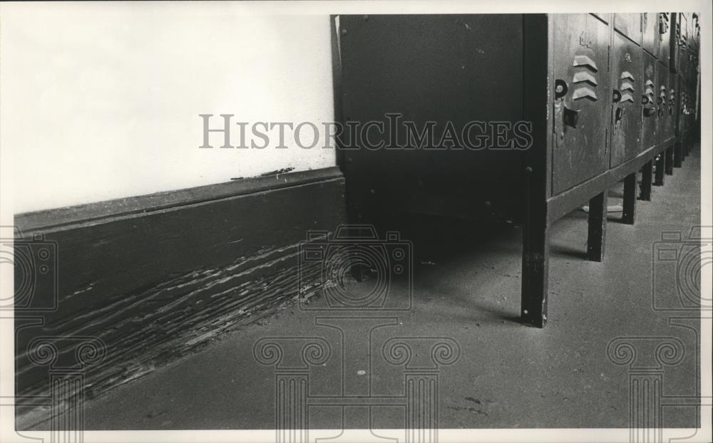 1991 Press Photo Termite damaged wood in hallway at Carrollton HIgh School - Historic Images