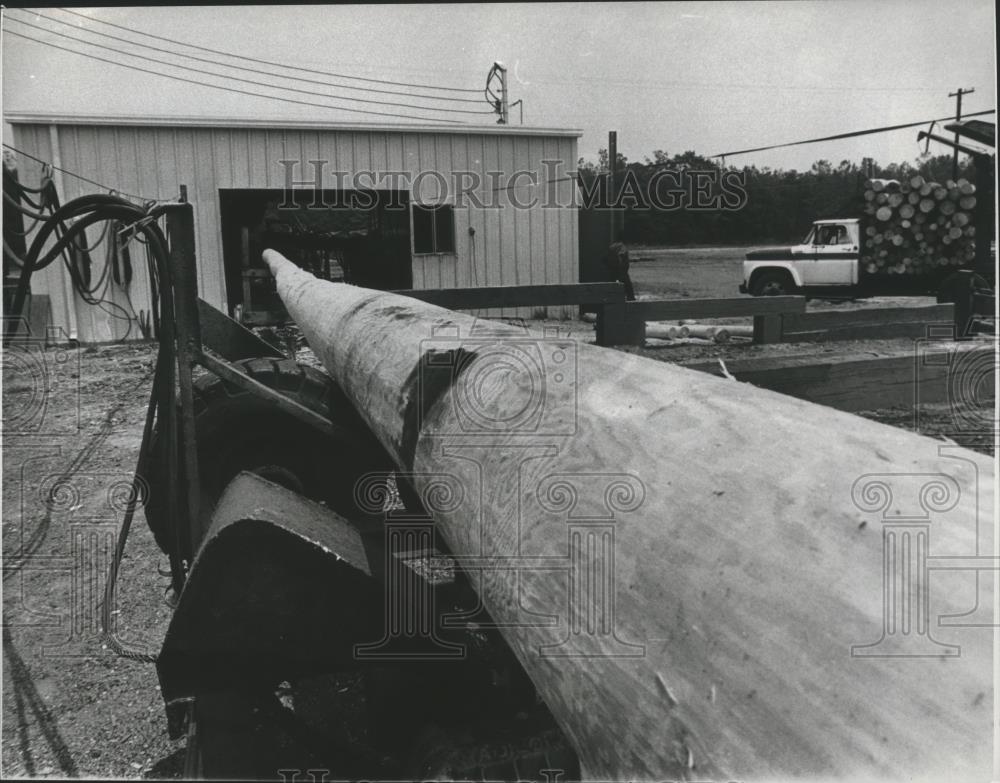 1978 Press Photo utility pole, Koppers Company, Elmore County, Alabama - Historic Images