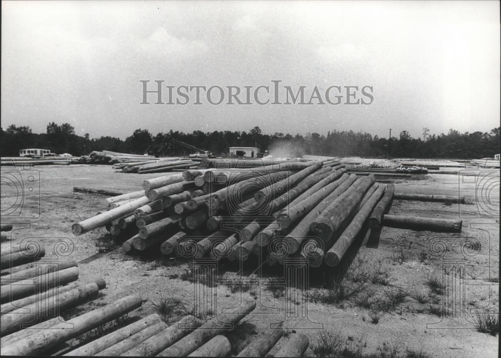 1979 Press Photo utility poles, Koppers Company, Elmore County, Alabama - Historic Images