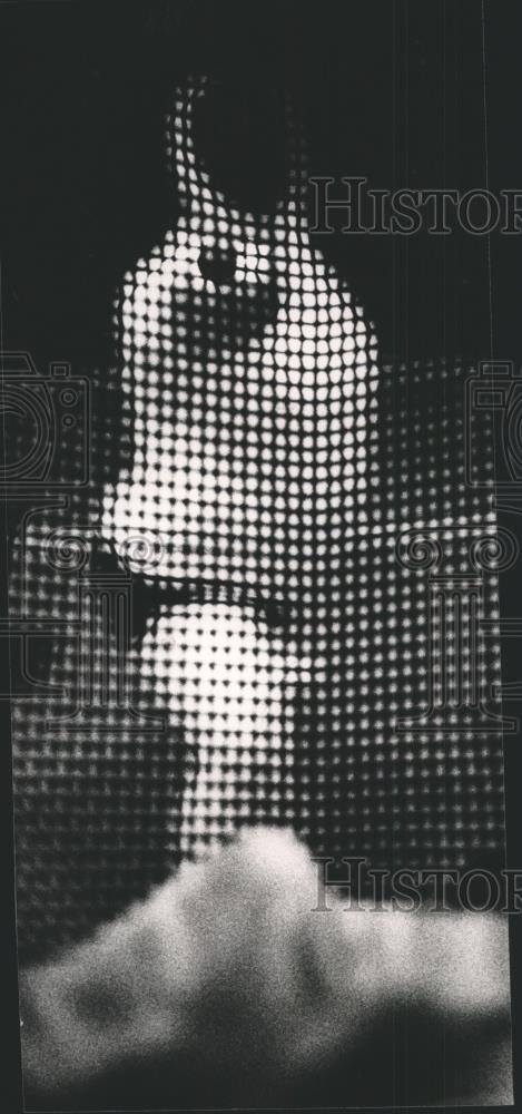 1987 Press Photo What It Would Look Like If You Were Wearing A Fencing Mask - Historic Images