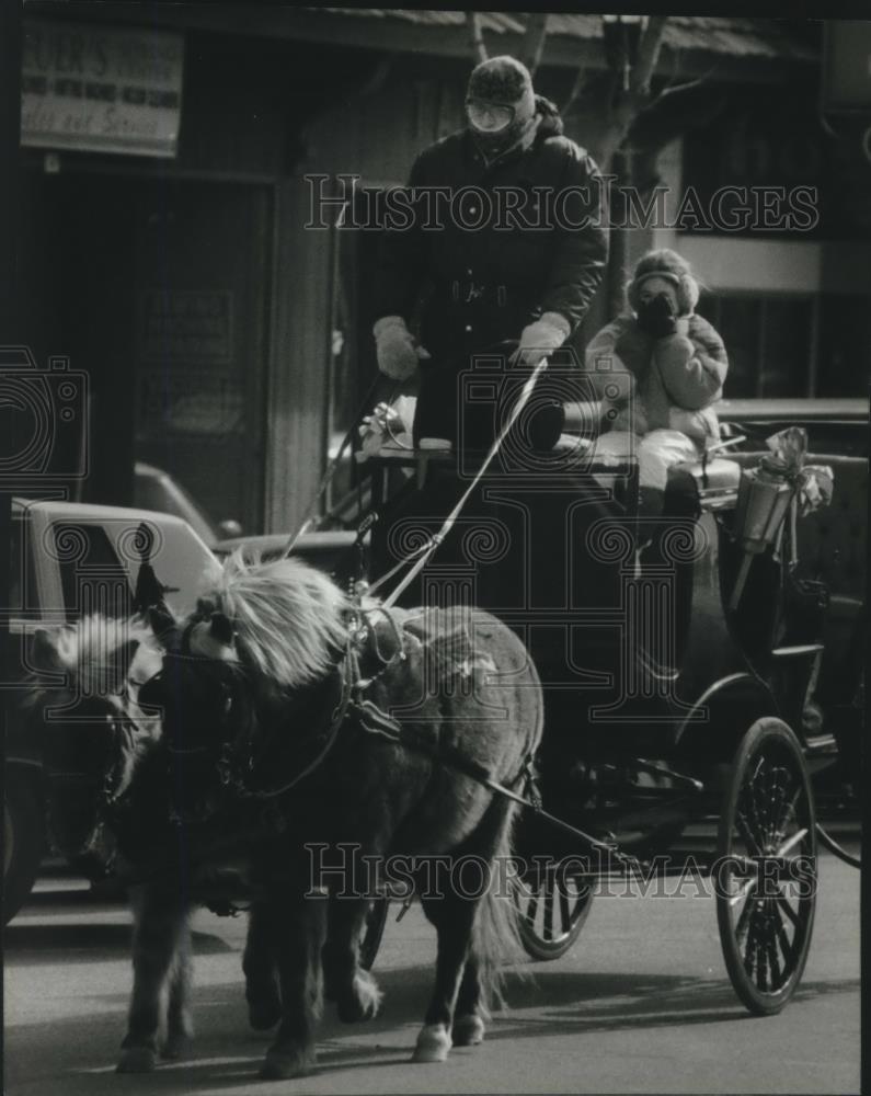 1995 Press Photo Paul Richter with Pauls Ponies downtown West Bend, Wisconsin - Historic Images