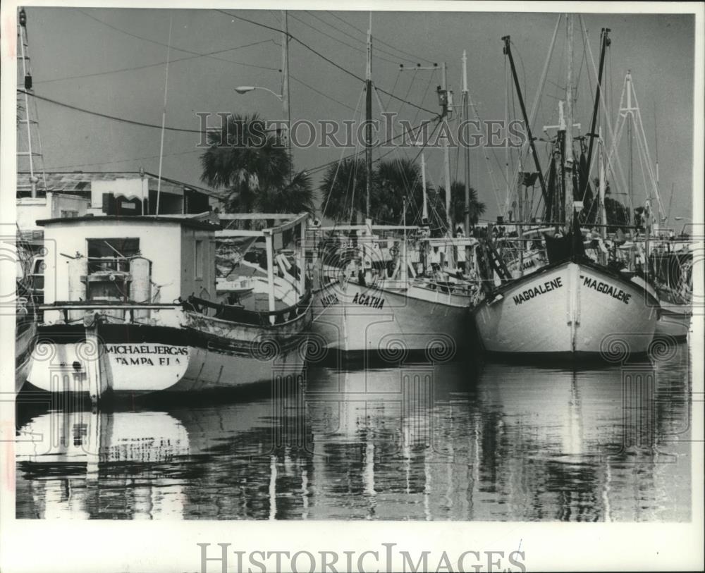 1976 Press Photo Small fleet of sponge diving boats-Tarpon Springs, Florida - Historic Images