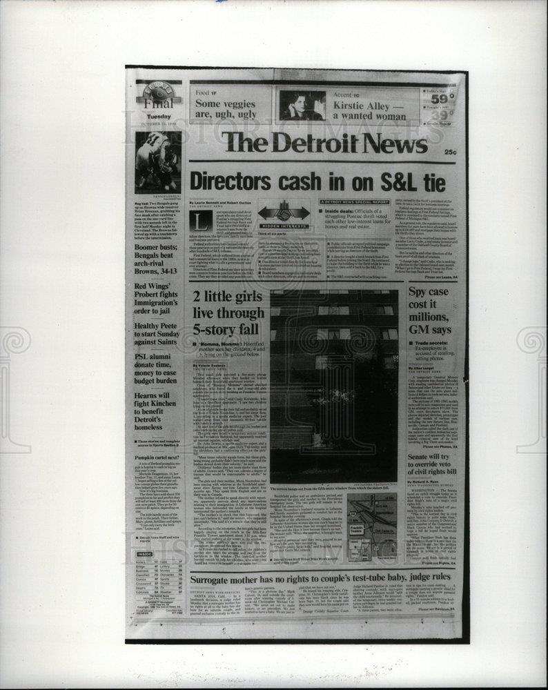 1991 Press Photo The Detroit News Real Estate Series - DFPD65375 - Historic Images