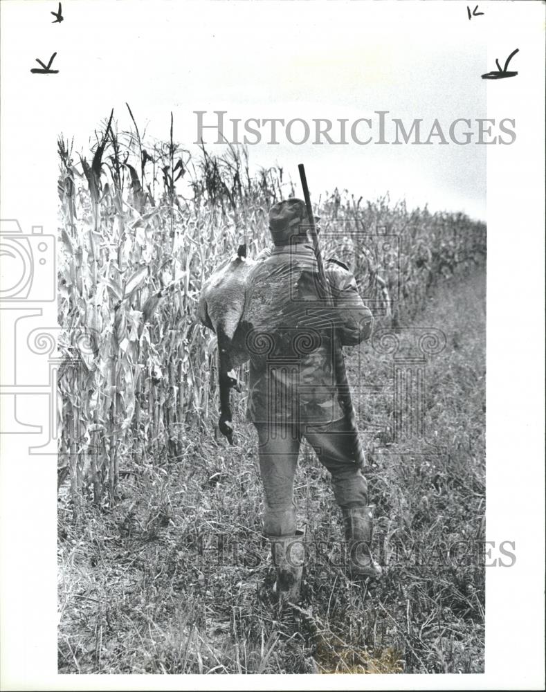 1986 Press Photo Canada Goose Hunting - RRQ18653 - Historic Images