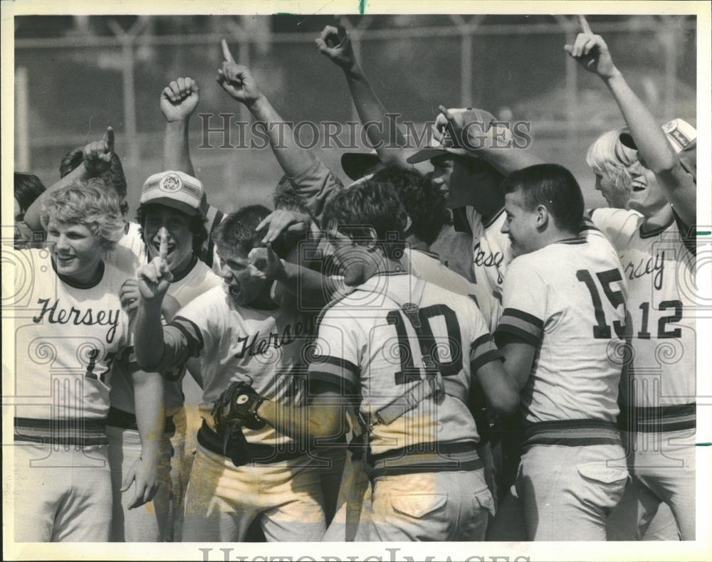 1984 Press Photo Hersey Naperville Illinois Baseball - RRQ25547 - Historic Images