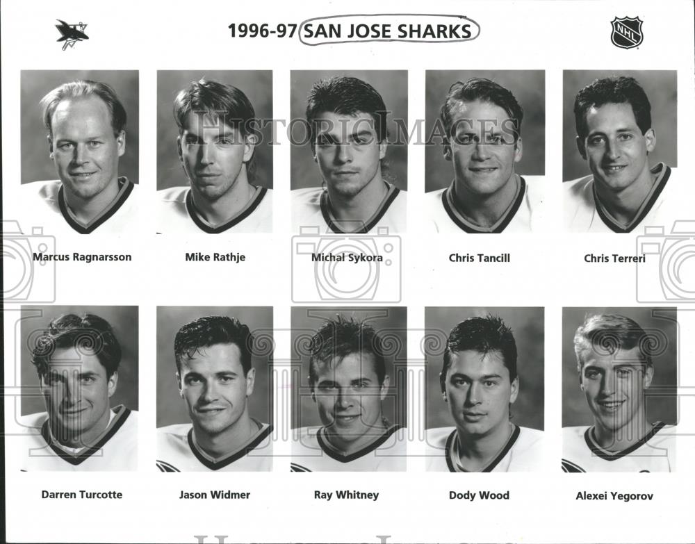 1996 Press Photo San Jose Sharks Roster Promotional - RRQ25763 - Historic Images