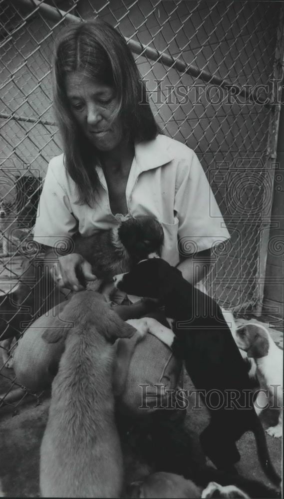 1981 Press Photo Anne Speakman and puppies at the Shelby County Animal Shelter - Historic Images