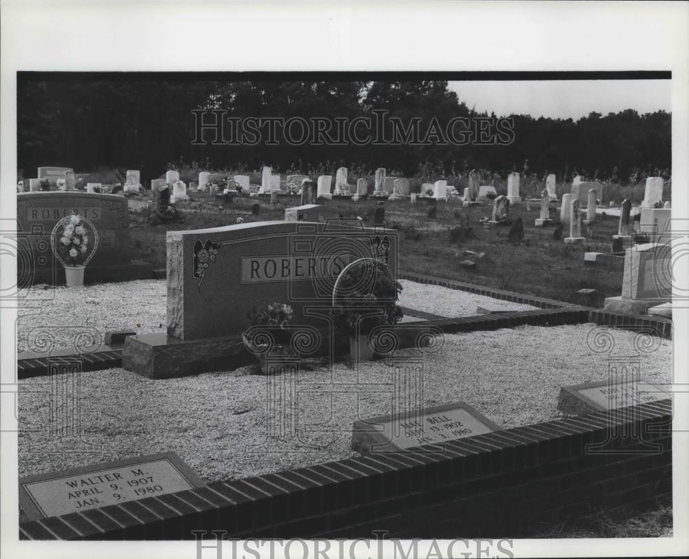 1981 Press Photo Roberts Family Headstones in Cemetery, Murder Victims - Historic Images