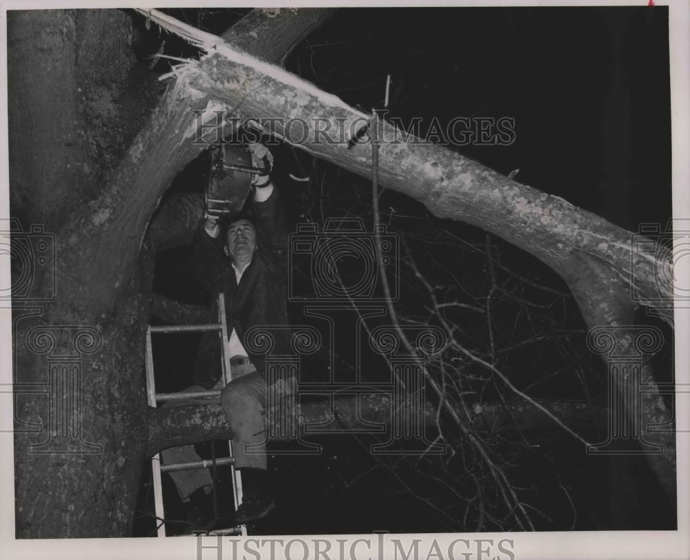 1990 Press Photo Don Lewis, Trussville, cuts down tornado damaged tree, Alabama - Historic Images