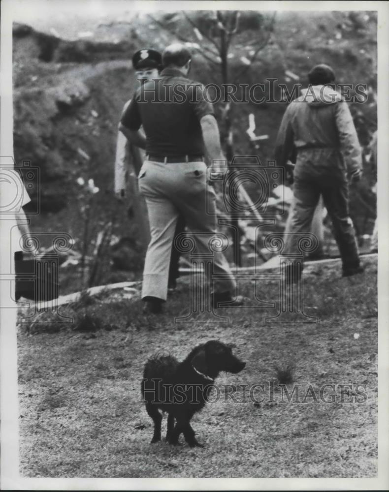 1977 Press Photo People and dog survey tornado damage in Jefferson County - Historic Images