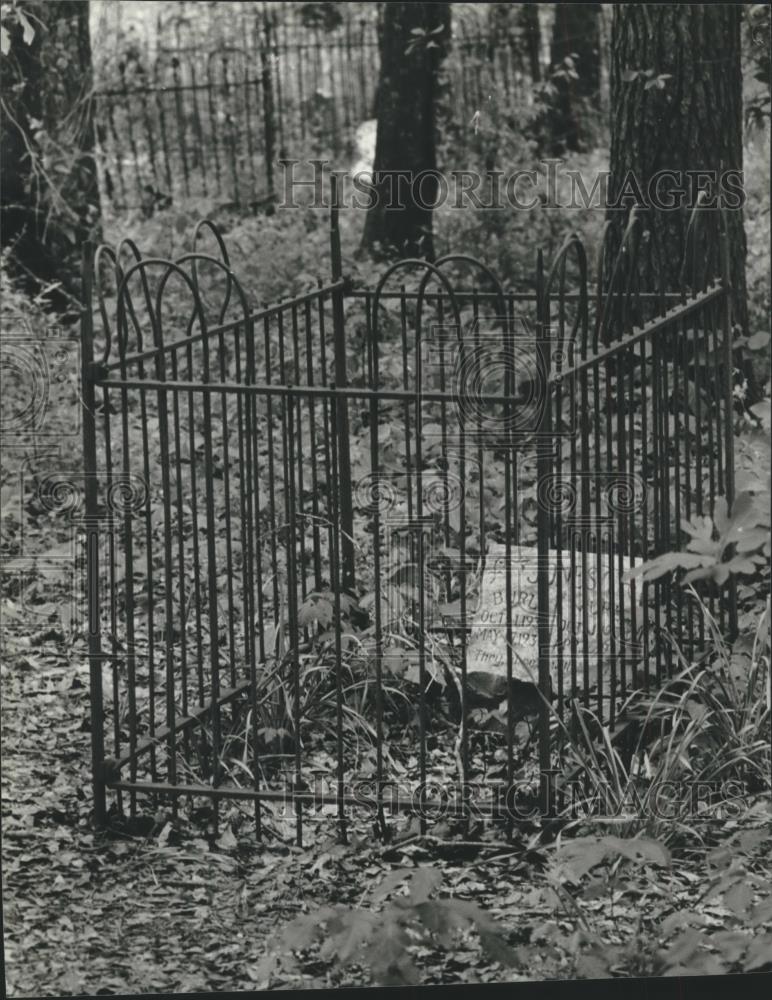 1980 Press Photo Headstone in Red Hill Cemetery in Pinson, Alabama - abna41059 - Historic Images