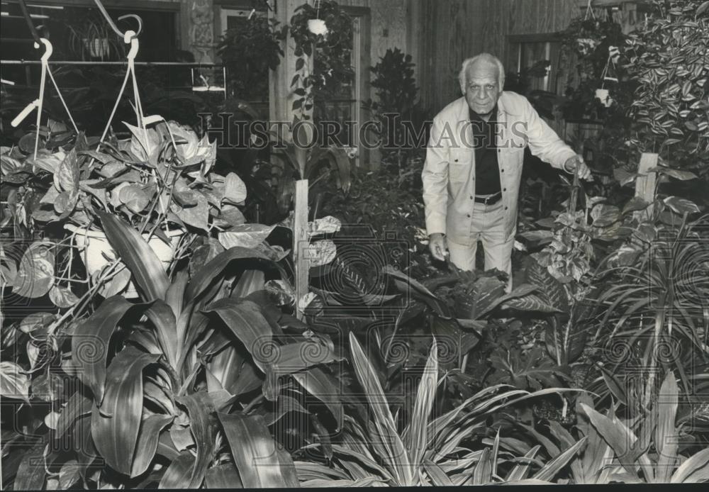 1977 Press Photo Pete Tortorigi among plants for display along Birmingham Green - Historic Images