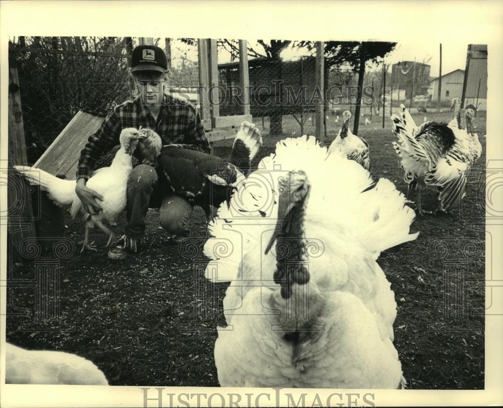 1987 Press Photo Randy Krueger&#39;s Prize-Winning Turkeys - mjc08265 - Historic Images