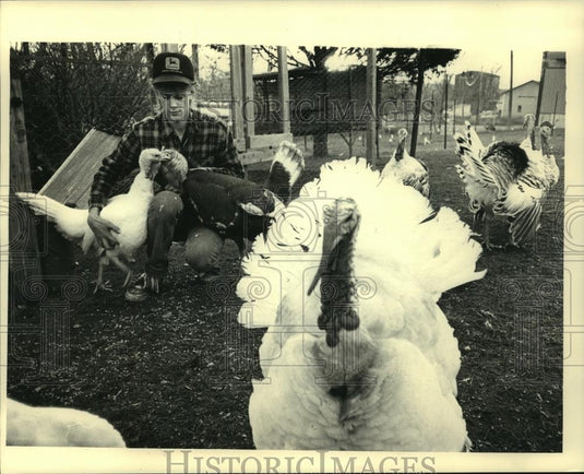1987 Press Photo Randy Krueger's Prize-Winning Turkeys - mjc08265 - Historic Images