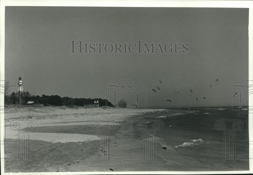 1990 Press Photo the Rawley Point lighthouse and gulls at Point Beach - Historic Images