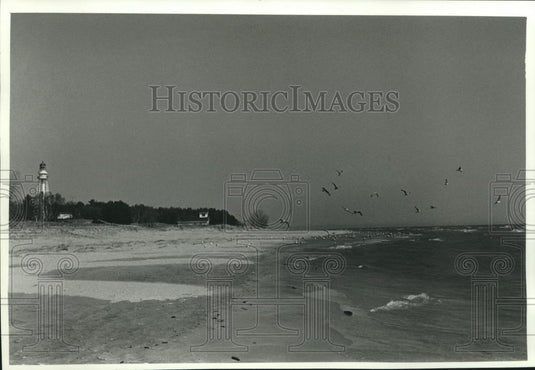 1990 Press Photo the Rawley Point lighthouse and gulls at Point Beach - Historic Images