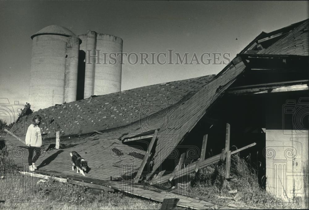 1991 Press Photo Laura Walkowiak looks at demolished barn on their Wales farm - Historic Images