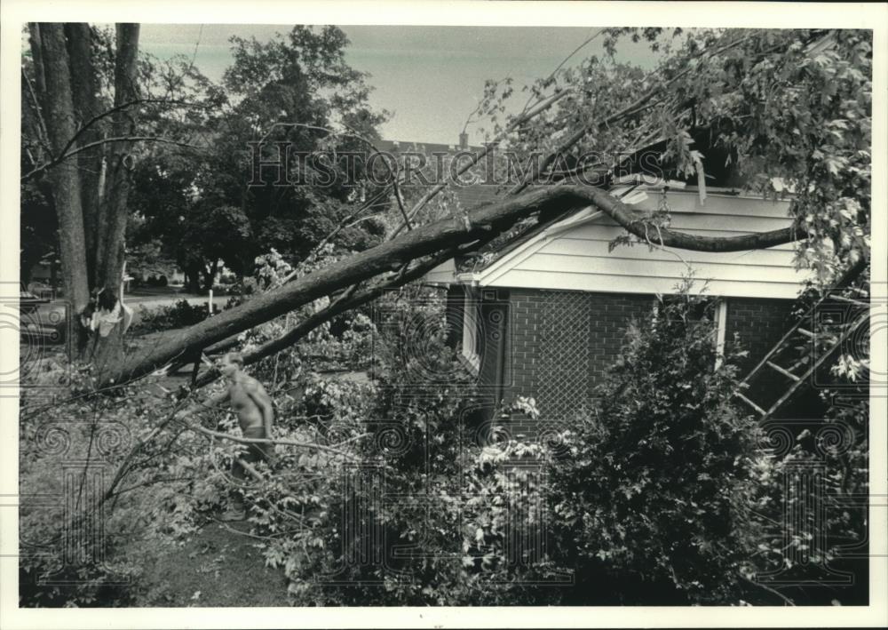 1991 Press Photo Thomas Stern of Cedarburg surveys fallen trees after storm - Historic Images