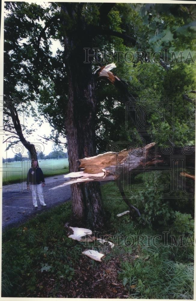 1993 Press Photo Cora Lee Perschon examines storm damage in Delafield, Wisconsin - Historic Images