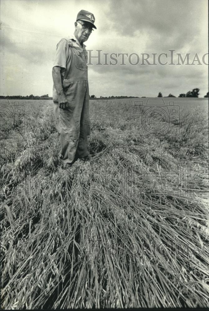 1991 Press Photo Edgar Gierach &amp; his storm damaged oats in Germantown, Wisconsin - Historic Images