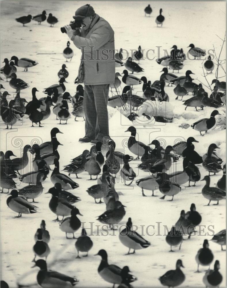 1986 Press Photo Ray Weber photographed ducks Thiensville Village Park Wisconsin - Historic Images