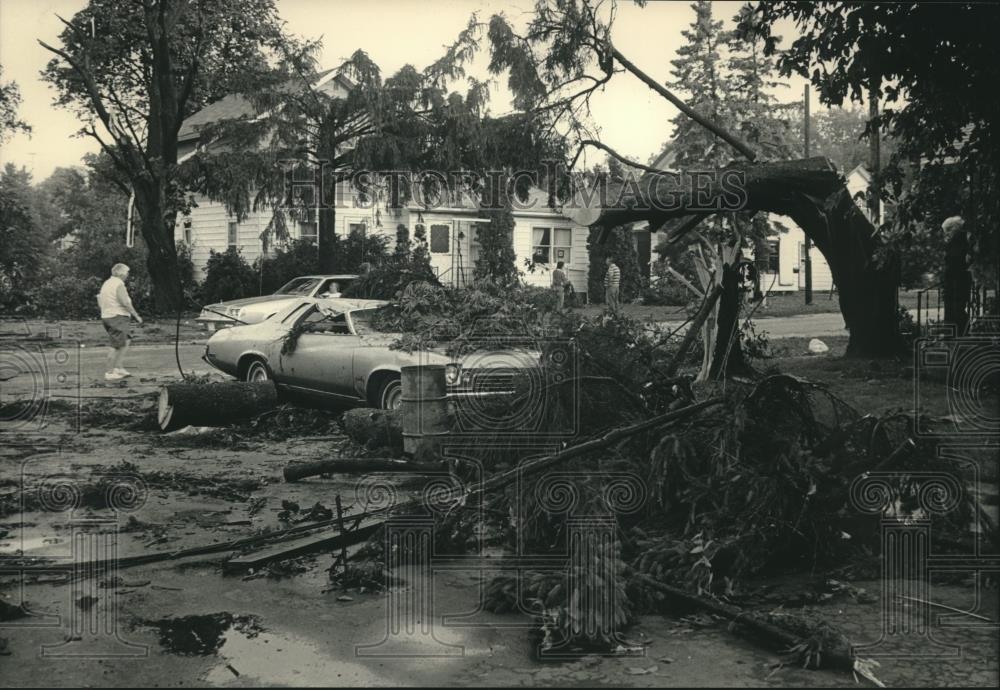 1987 Press Photo Fallen tree from storm damage in Pewaukee, Wisconsin - Historic Images