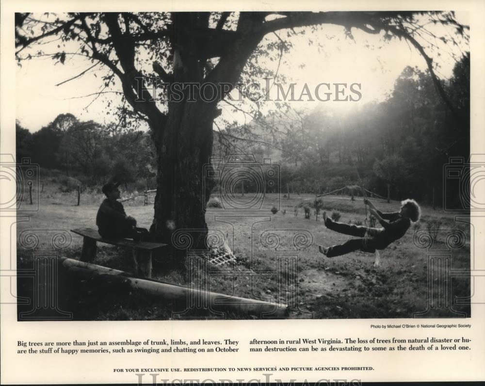 1989 Press Photo Big trees provide shade in a park for a swing and bench West VA - Historic Images