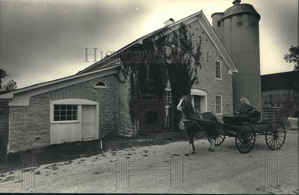 1987 Press Photo Sue Kaiser drove a horse a buggy at Trimborn Farm in Greendale - Historic Images