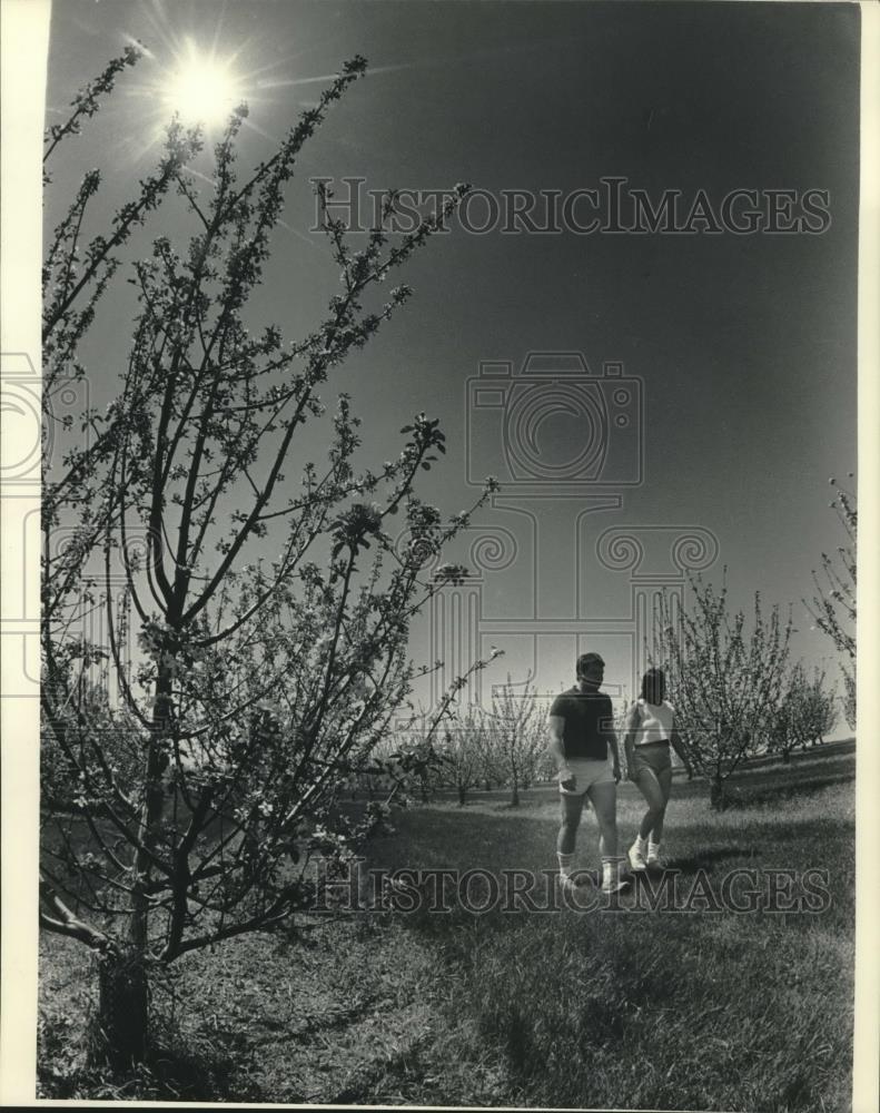 1985 Press Photo Sig and Marsha Chestelson and apple trees - mjc10549 - Historic Images