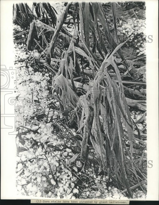 Press Photo Weather - mjc11035 - Historic Images