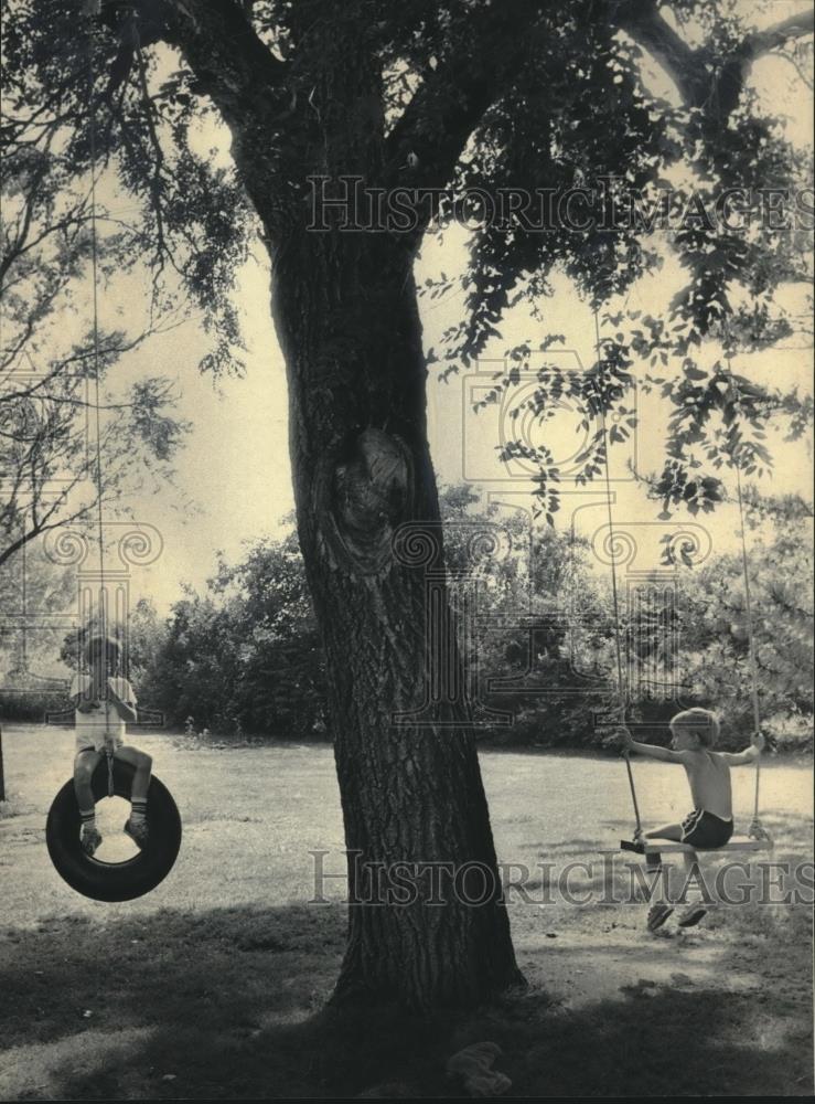 1984 Press Photo Franksville children play on swings in the shade of a big tree - Historic Images