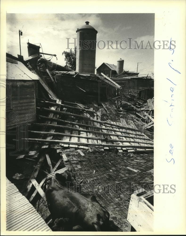 1981 Press Photo The remains of Leonard Wollins&#39; barn after a storm in Wisconsin - Historic Images