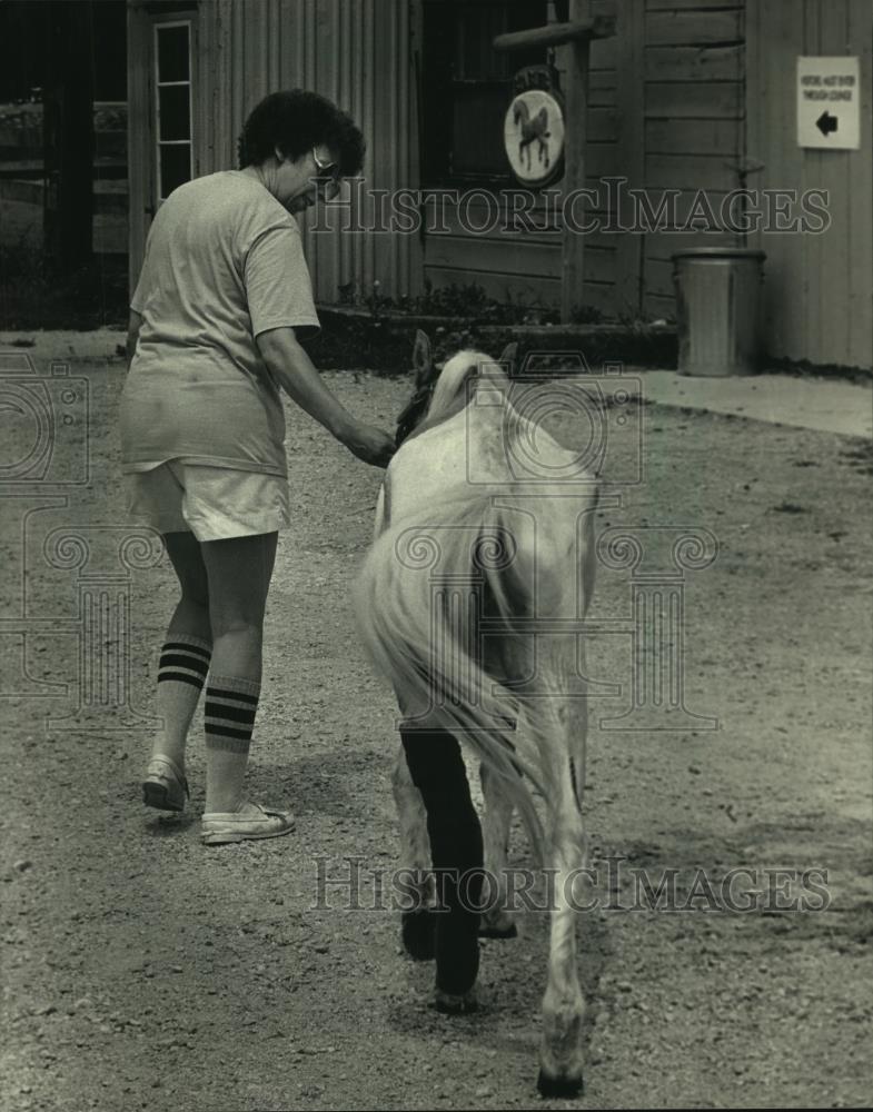 1987 Press Photo Linda Todor-Newcomb leads rescued pony, Cookie, to the barn - Historic Images