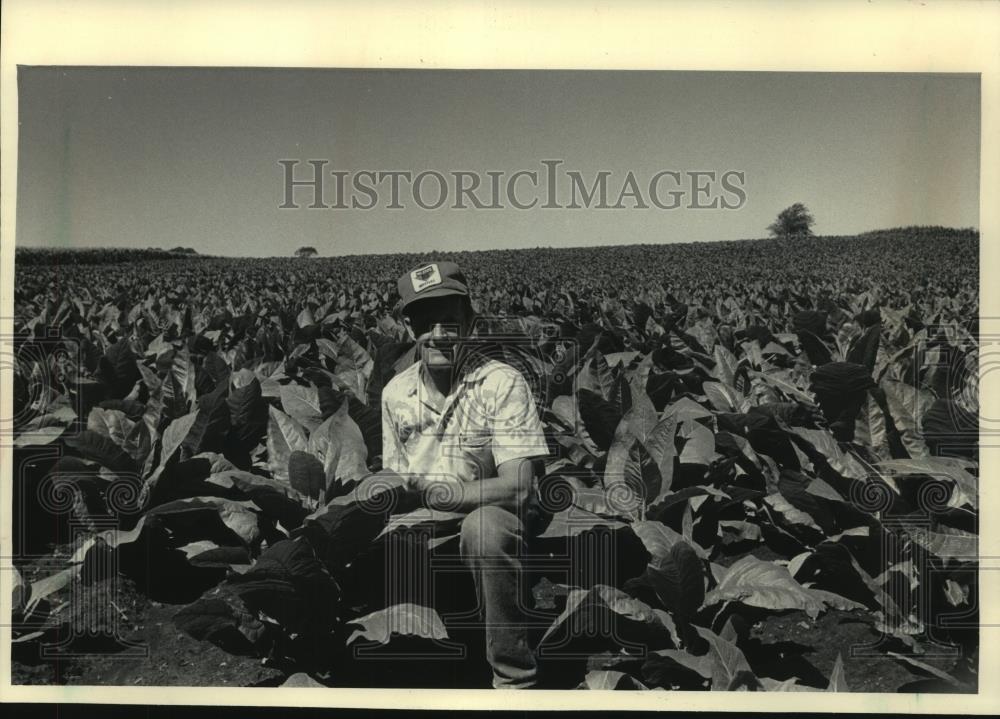 1985 Press Photo Tobacco farmer Charles Erikson on his farm in Westby - Historic Images