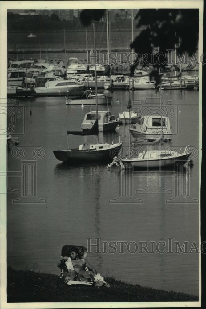 1984 Press Photo Ann Wellman, sits in sun, read book, South Shore Park - Historic Images