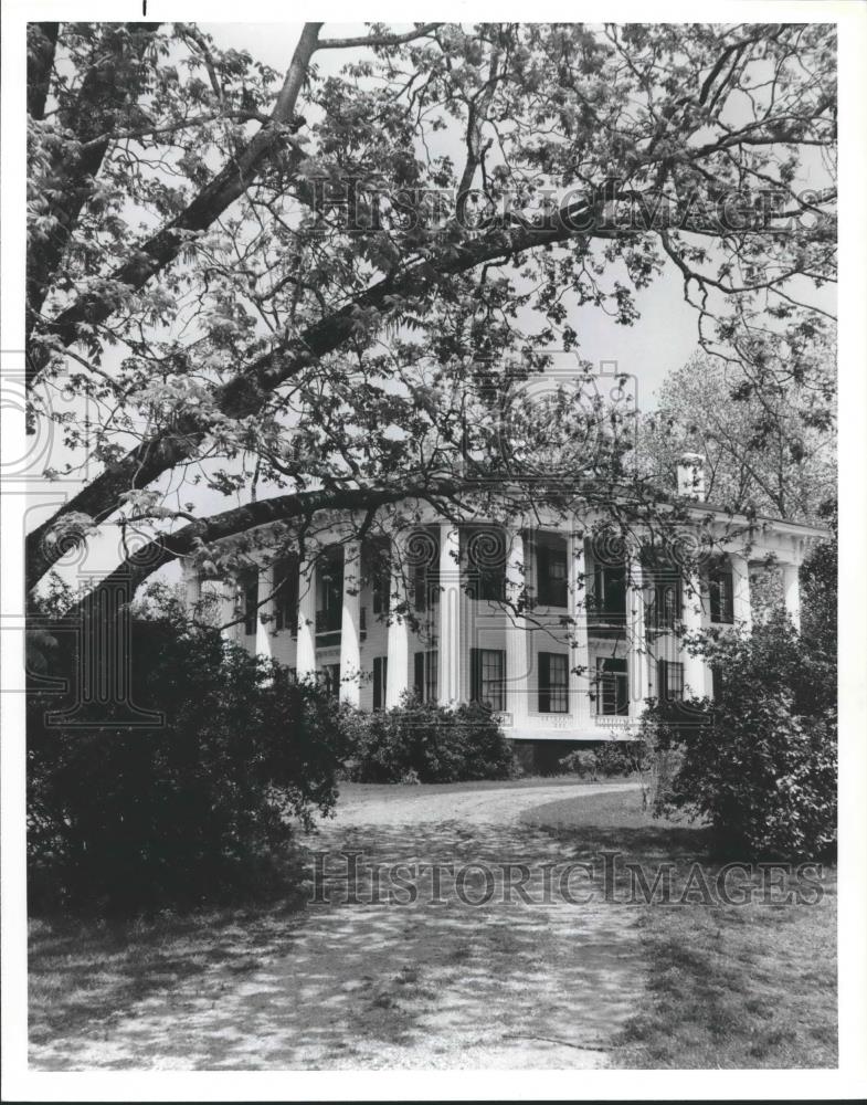 1981 Press Photo Scenes like this are typical in historic Lowndesboro, Alabama - Historic Images