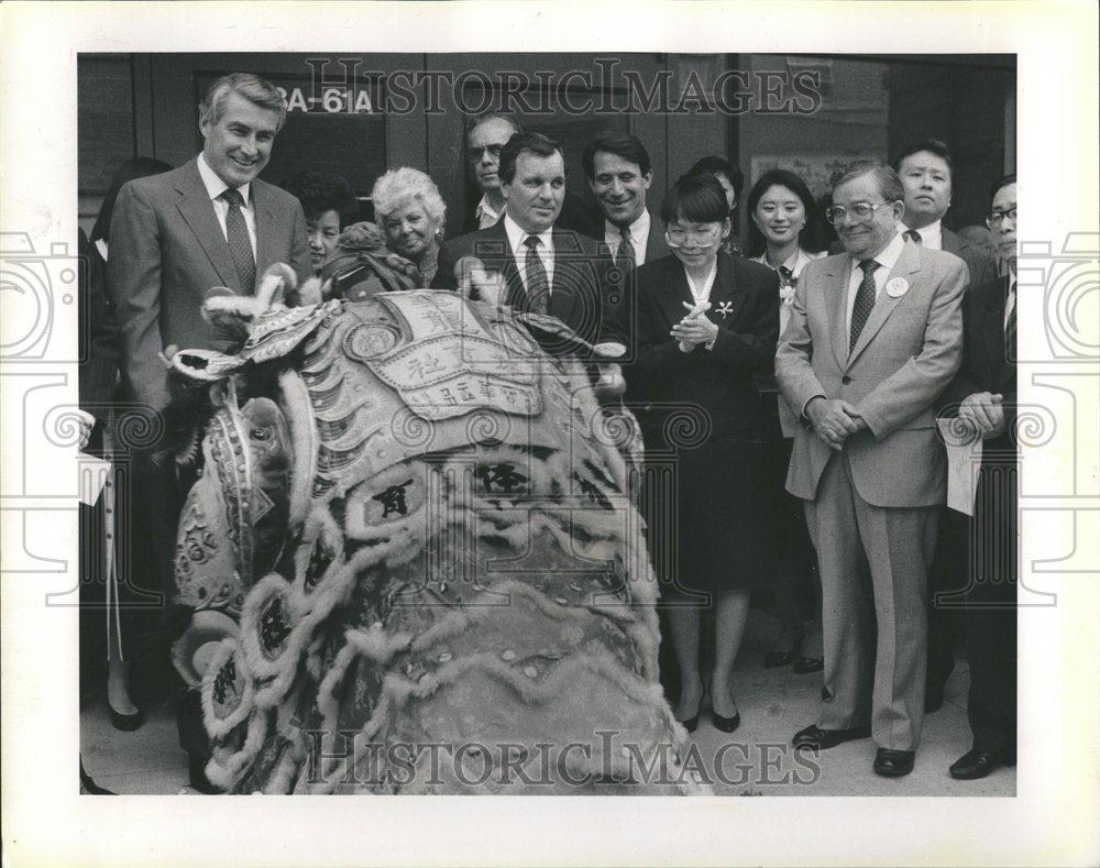 1990 Press Photo Chicago Chinatown Library Opening - RRV41561 - Historic Images