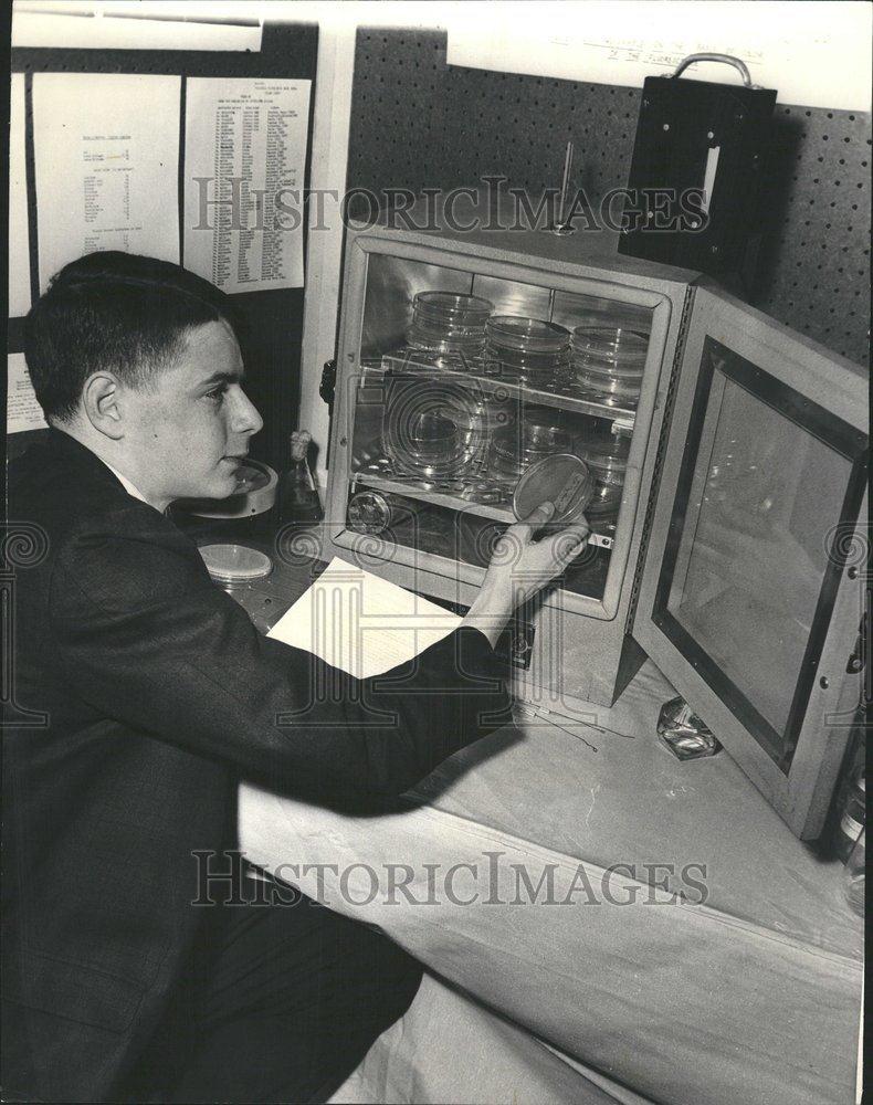 1966 Press Photo Student Science Fair Arthur Horowitz - RRV56409 - Historic Images