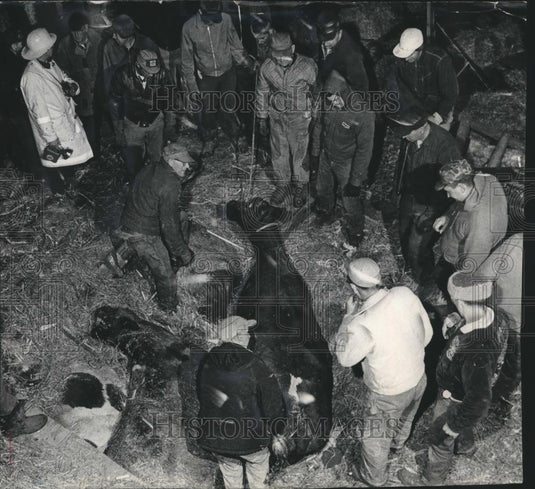 1985 Press Photo Lake Millis Fire Department Volunteers Rescuing Trapped Cow - Historic Images