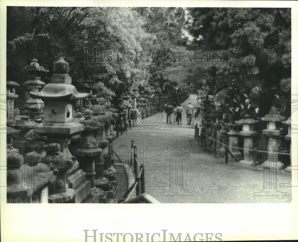 1982 Press Photo Kasuga Shrine At Nara, Lantern Shrine, Entry Path In Japan - Historic Images