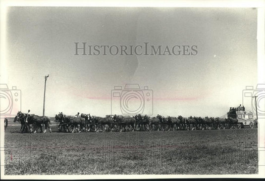 1989 Press Photo Richard Sparrow test driving his 40-horse hitch at his farm. - Historic Images