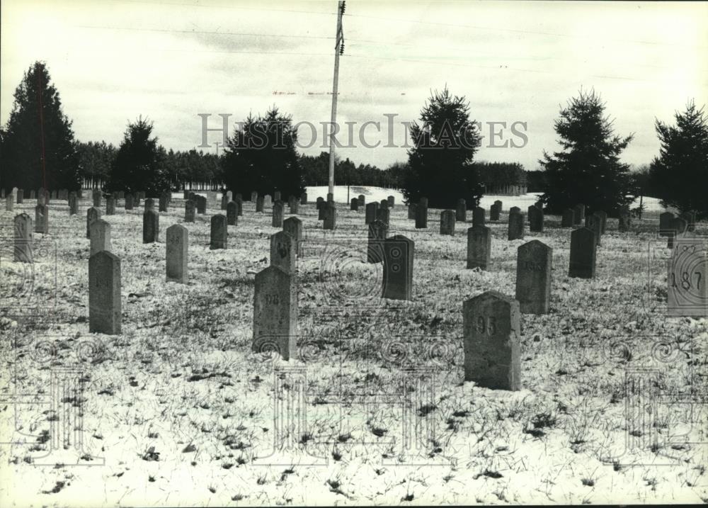 1982 Press Photo Wisconsin State Public School Graveyard in Sparta, Wisconsin. - Historic Images
