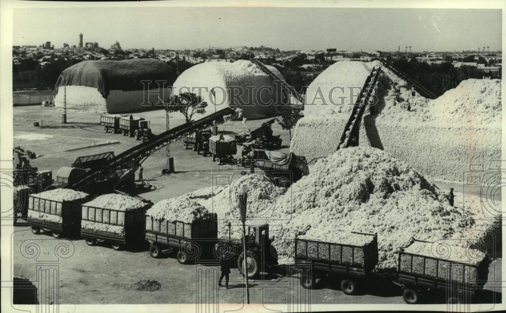1976 Press Photo Soviet Cotton at the Bukharsky processing plant, Uzbek Republic - Historic Images