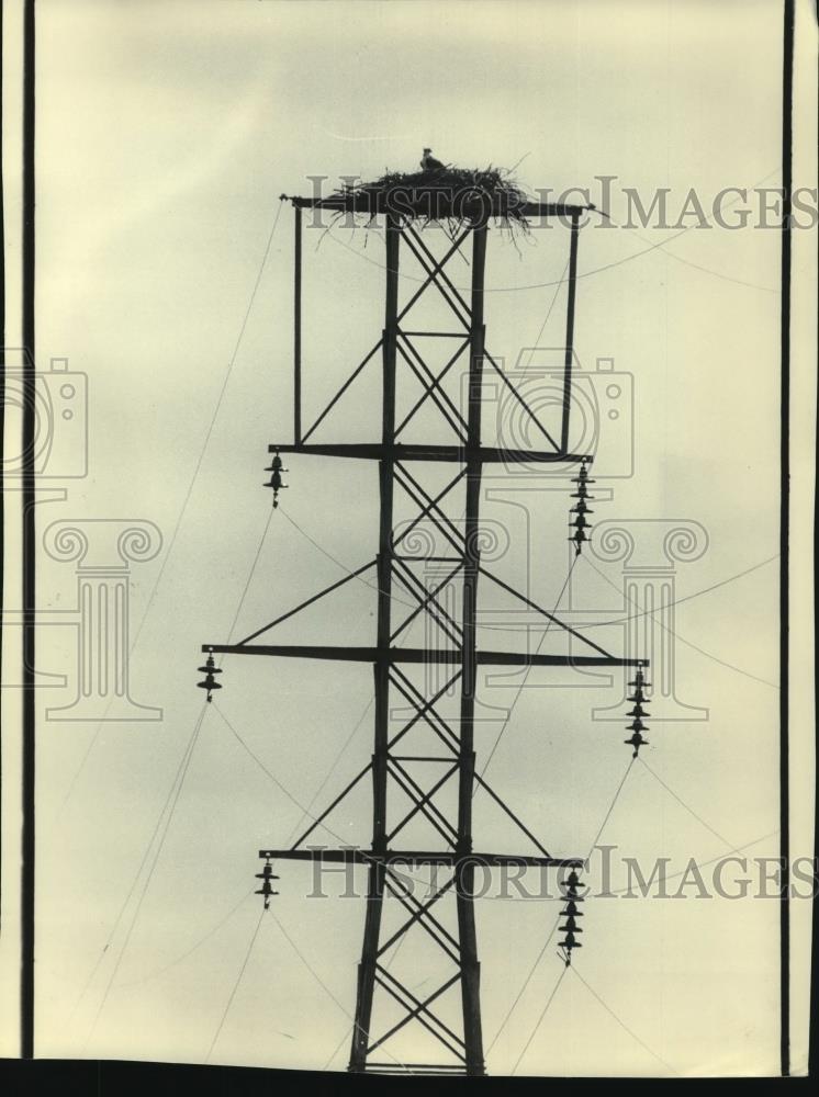 1985 Press Photo Osprey nest on electric tower near Crystal Falls, Michigan. - Historic Images